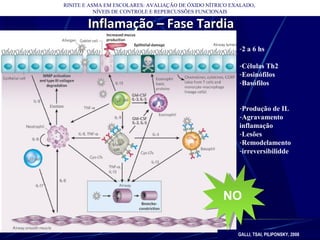 RINITE E ASMA EM ESCOLARES: AVALIAÇÃO DE ÓXIDO NÍTRICO EXALADO,
NÍVEIS DE CONTROLE E REPERCUSSÕES FUNCIONAIS
Inflamação – Fase TardiaInflamação – Fase Tardia
GALLI, TSAI, PILIPONSKY, 2008
NONO
-2 a 6 hs
-Células Th2
-Eosinófilos
-Basófilos
-Produção de IL
-Agravamento
inflamação
-Lesões
-Remodelamento
-irreversibilidde
 