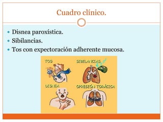 Cuadro clínico.
 Disnea paroxística.
 Sibilancias.
 Tos con expectoración adherente mucosa.

 