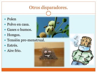 Otros disparadores.
 Polen
 Polvo en casa.
 Gases o humos.
 Hongos.
 Tensión pre-menstrual.
 Estrés.
 Aire frio.

 