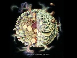 Prof DR.dr.Ariyanto Harsono SpAK

8

 