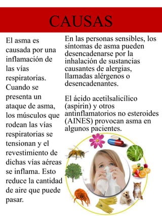 CAUSAS
El asma es
causada por una
inflamación de
las vías
respiratorias.
Cuando se
presenta un
ataque de asma,
los músculos que
rodean las vías
respiratorias se
tensionan y el
revestimiento de
dichas vías aéreas
se inflama. Esto
reduce la cantidad
de aire que puede
pasar.
En las personas sensibles, los
síntomas de asma pueden
desencadenarse por la
inhalación de sustancias
causantes de alergias,
llamadas alérgenos o
desencadenantes.
El ácido acetilsalicílico
(aspirin) y otros
antinflamatorios no esteroides
(AINES) provocan asma en
algunos pacientes.
 