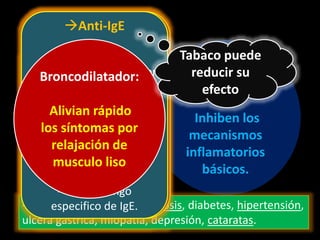 Controladores:
Inhiben los
mecanismos
inflamatorios
básicos.
INFLAMACIÓN
Controladores:
Inhiben los
mecanismos
inflamatorios
básicos.
CORTICOESTEROIDES
INHALADOS
-Beclometasona y
Budesonida
-Antiinflamatorios
-Disminuyen el numero
de linfocitos T activados
y células Cebadas
↓
disminuye la
Hiperreactividad.
-Cualquier intensidad y
duración
-1-2 veces al día.
-Evita exacerbaciones
nocturnas
-Efecto máximo en meses .
-Controlan, no la curan
*EA: Raros; Disfonia y
candidosis de la boca.
VIA GENERAL:
-Hidrocortisona o
metilprednisolona
-IV u orales
-Asma grave y aguda .
-Disminuir los síntomas
agudos
-1% necesita dosis de
sostén para mas
tiempo.
-Efectos adversos: osteoporosis, diabetes, hipertensión,
ulcera gástrica, miopatía, depresión, cataratas.
Antileucotrienos
-Montelukast y
Zafirlukast
-Bloquea los receptores
de leucotrienos
-Beneficio modesto
-Terapia adicional a
corticoesteroides.
-1-2 veces al día.
Anti-IgE
-Omalizumab
-Anticuerpo bloqueador
que neutraliza a la IgE
circulante
-Reduce numero de
exacerbaciones
-Vía subcutánea
-Cada 2-4 semanas
- Muy caro
- Con un rango
especifico de IgE.
Broncodilatador:
Alivian rápido
los síntomas por
relajación de
musculo liso
Tabaco puede
reducir su
efecto
 