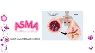 MARÍA CAMILA SERRANO REDONDO.