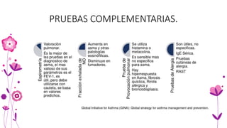 PRUEBAS COMPLEMENTARIAS.