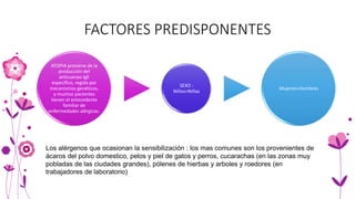 FACTORES PREDISPONENTES
ATOPIA proviene de la
producción del
anticuerpo IgE
específico, regida por
mecanismos genéticos,
y muchos pacientes
tienen el antecedente
familiar de
enfermedades alérgicas.
SEXO :
Niños>Niñas
Mujeres>Hombres
Los alérgenos que ocasionan la sensibilización : los mas comunes son los provenientes de
ácaros del polvo domestico, pelos y piel de gatos y perros, cucarachas (en las zonas muy
pobladas de las ciudades grandes), pólenes de hierbas y arboles y roedores (en
trabajadores de laboratorio)