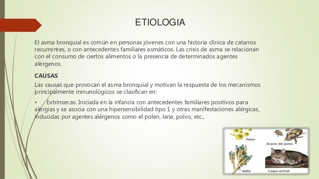 ETIOLOGIA DEL ASMA BRONQUIAL DOWNLOAD ETIOLOGIA DEL ASMA BRONQUIAL DOWNLOAD