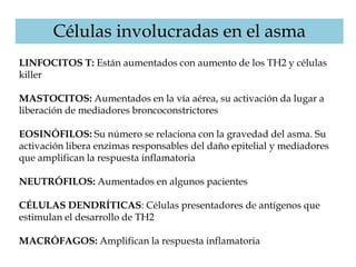 Células involucradas en el asma
LINFOCITOS T: Están aumentados con aumento de los TH2 y células
killer
MASTOCITOS: Aumentados en la vía aérea, su activación da lugar a
liberación de mediadores broncoconstrictores
EOSINÓFILOS: Su número se relaciona con la gravedad del asma. Su
activación libera enzimas responsables del daño epitelial y mediadores
que amplifican la respuesta inflamatoria
NEUTRÓFILOS: Aumentados en algunos pacientes
CÉLULAS DENDRÍTICAS: Células presentadores de antígenos que
estimulan el desarrollo de TH2
MACRÓFAGOS: Amplifican la respuesta inflamatoria
 