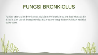 FUNGSI BRONKIOLUS
Fungsi utama dari bronkiolus adalah menyalurkan udara dari bronkus ke
alveoli, dan untuk mengontrol jumlah udara yang didistribusikan melalui
paru-paru.
 
