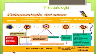 Fisiopatología
 