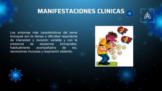 MANIFESTACIONES CLINICAS
Los síntomas más característicos del asma
bronquial son la disnea o dificultad respiratoria
de intensidad y duración variable y con la
presencia de espasmos bronquiales,
habitualmente acompañados de tos,
secreciones mucosas y respiración sibilante.
 