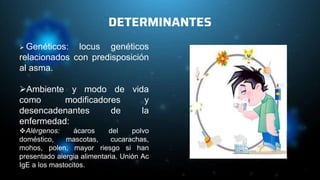 DETERMINANTES
 Genéticos: locus genéticos
relacionados con predisposición
al asma.
Ambiente y modo de vida
como modificadores y
desencadenantes de la
enfermedad:
Alérgenos: ácaros del polvo
doméstico, mascotas, cucarachas,
mohos, polen, mayor riesgo si han
presentado alergia alimentaria. Unión Ac
IgE a los mastocitos.
 
