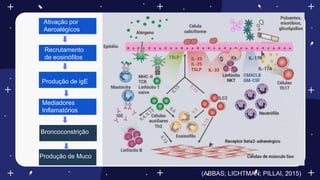 Ativação por
Aeroalégicos
Recrutamento
de eosinófilos
Produção de igE
Mediadores
Inflamatórios
Broncoconstrição
Produção de Muco
(ABBAS; LICHTMAN; PILLAI, 2015)
 