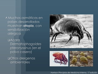 Harrison Principios de Medicina Interna. 17 edición
 