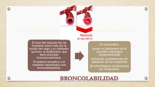 El tono del músculo liso se
mantiene sobre todo por la
acción del vago y su mediador
químico, la acetilcolina, que
tiene actividad
broncoconstrictora.
El sistema simpático y el
mediador adrenérgico son
broncodilatadores.
En el asmático
existe un predominio de la
actividad colinérgica
(hiperreactividad
bronquial), posiblemente por
alteración de los receptores
β2-adrenérgicos condicionada
por mutaciones.
 