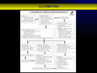 ALGORITMO 