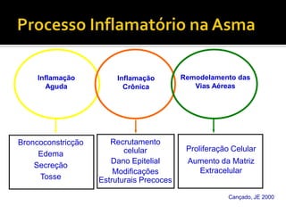 Processo Inflamatório na AsmaRemodelamento das Vias AéreasInflamação AgudaInflamaçãoCrônicaBroncoconstricçãoEdemaSecreçãoTosseRecrutamento celularDano EpitelialModificações Estruturais PrecocesProliferação CelularAumento da Matriz ExtracelularCançado, JE 2000
