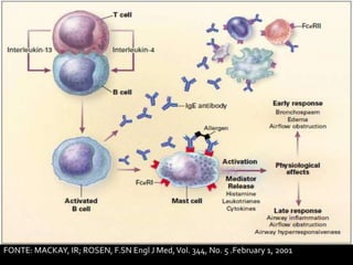 FONTE: MACKAY, IR; ROSEN, F.SN Engl J Med, Vol. 344, No. 5 .February 1, 2001