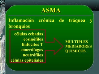Inflamación crónica de tráquea y
bronquios
ASMAASMA
células cebadas
eosinófilos
linfocitos T
macrófagos
neutrófilos
células epiteliales
MULTIPLES
MEDIADORES
QUIMICOS
 