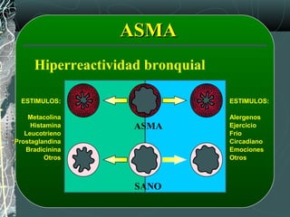 ASMAASMA
Hiperreactividad bronquial
ESTIMULOS:
Metacolina
Histamina
Leucotrieno
Prostaglandina
Bradicinina
Otros
ASMA
SANO
ESTIMULOS:
Alergenos
Ejercicio
Frío
Circadiano
Emociones
Otros
 