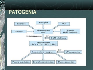 PATOGENIA
 