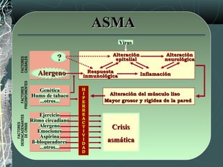 ASMAASMA
AlteraciónAlteración
epitelialepitelial
RespuestaRespuesta
inmunológicainmunológica
AlteraciónAlteración
neurológicaneurológica
InflamaciónInflamación
Alteración del músculo lisoAlteración del músculo liso
Mayor grosor y rigidez de la paredMayor grosor y rigidez de la pared
FACTORES
PREDISPONENTES
FACTORES
DESENCADENANTES
DECRISIS
FACTORES
CAUSALES
CrisisCrisis
asmáticaasmática
HH
II
PP
EE
RR
RR
EE
AA
CC
TT
II
VV
II
DD
AA
DD
?
AlergenoAlergeno
VirusVirus
EjercicioEjercicio
Ritmo circadianoRitmo circadiano
AlergenoAlergeno
EmocionesEmociones
AspirinaAspirina
ß-bloqueadoresß-bloqueadores
...otros......otros...
GenéticaGenética
Humo de tabacoHumo de tabaco
...otros......otros...
 