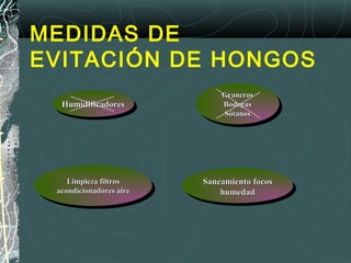 MEDIDAS DE
EVITACIÓN DE HONGOS
Limpieza filtrosLimpieza filtros
acondicionadores aireacondicionadores aire
Saneamiento focosSaneamiento focos
humedadhumedad
GranerosGraneros
BodegasBodegas
SótanosSótanos
HumidificadoresHumidificadores
 