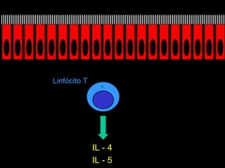 IL - 4 IL - 5 Linfócito T 