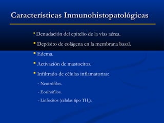 Características Inmunohistopatológicas
 Denudación

del epitelio de la vías aérea.

 Depósito de colágena en la membrana basal.
 Edema.
 Activación de mastocitos.
 Infiltrado de células inflamatorias:
- Neutrófilos.
- Eosinófilos.
- Linfocitos (células tipo TH2).

 
