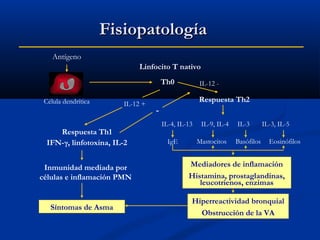 Fisiopatología
Antígeno
Linfocito T nativo
Th0
Célula dendrítica

IL-12 +

Respuesta Th1
IFN-γ, linfotoxina, IL-2
Inmunidad mediada por
células e inflamación PMN

Síntomas de Asma

IL-12 -

Respuesta Th2

IL-4, IL-13
IgE

IL-9, IL-4
Mastocitos

IL-3
Basófilos

IL-3, IL-5
Eosinófilos

Mediadores de inflamación
Histamina, prostaglandinas,
leucotrienos, enzimas
Hiperreactividad bronquial
Obstrucción de la VA

 
