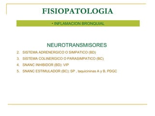 FISIOPATOLOGIA INFLAMACION BRONQUIAL NEUROTRANSMISORES SISTEMA ADRENERGICO O SIMPATICO (BD) SISTEMA COLINERGICO O PARASIMPATICO (BC) SNANC INHIBIDOR (BD): VIP SNANC ESTIMULADOR (BC): SP , taquicininas A y B, PDGC 