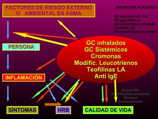 FACTORES DE RIESGO EXTERNO
FACTORES DE RIESGO EXTERNO          BRONCODILATADORES
   O AMBIENTAL EN ASMA
   O AMBIENTAL EN ASMA             B2 agonista inh. CA
                                   B2 agonista LA
                                   Anticolinérgico inhalado
                                   Teofilina CA
                                   Broncodilatadores orales



PERSONA
                        GC inhalados
PERSONA
                       GC Sistémicos
                          Cromonas
                     Modific. Leucotrienos
                        Teofilinas LA
INFLAMACIÓN
INFLAMACIÓN                 Anti IgE

                                       Educación
                                 Modificación ambiental
                                        Vacunas
                                    Inmunoterapia

SÍNTOMAS
SÍNTOMAS       HRB
               HRB      CALIDAD DE VIDA
                        CALIDAD DE VIDA
 