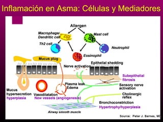 Inflamación en Asma: Células y Mediadores




                              Source: Peter J. Barnes, MD
 