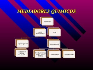 MEDIADORES QUIMICOS
 