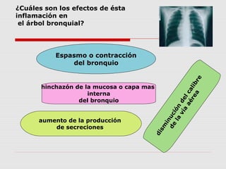 Espasmo o contracción
del bronquio
¿Cuáles son los efectos de ésta
inflamación en
el árbol bronquial?
hinchazón de la mucosa o capa mas
interna
del bronquio
aumento de la producción
de secreciones
dism
inución
delcalibre
de
la
vía
aérea
 