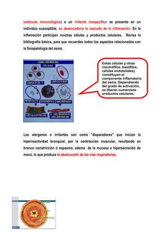 (estímulo inmunológico) o un irritante inespecífico se presenta en un
individuo susceptible, se desencadena la cascada de la inflamación. En la
inflamación participan muchas células y productos celulares. Revisa la
bibliografía básica, para que recuerdes todos los aspectos relacionados con
la fisiopatología del asma.
Los alergenos o irritantes son como "disparadores" que inician la
hiperreactividad bronquial, por la contracción muscular, resultando en
bronco constricción ó espasmo, edema de la mucosa e hipersecreción de
moco, lo que produce llaa oobbssttrruucccciióónn ddee llaass vvííaass rreessppiirraattoorriiaass..
Estas células y otras
(neutrófilos, basófilos,
células endoteliales),
constituyen el
componente inflamatorio
del asma. Dependiendo
del grado de activación,
se liberan numerosos
productos celulares.
 