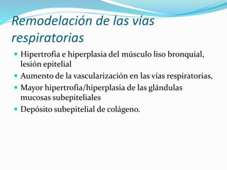 Remodelación de las vías
respiratorias
 Hipertrofia e hiperplasia del músculo liso bronquial,
lesión epitelial
 Aumento de la vascularización en las vías respiratorias,
 Mayor hipertrofia/hiperplasia de las glándulas
mucosas subepiteliales
 Depósito subepitelial de colágeno.
 