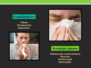 Expectoración
Filante
Transparente
Espumoso
Síntomas nasales
Obstrucción nasal nocturna
Rinorrea
Prurito nasal
Estornudos
 