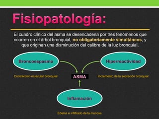 El cuadro clínico del asma se desencadena por tres fenómenos que
ocurren en el árbol bronquial, no obligatoriamente simultáneos, y
que originan una disminución del calibre de la luz bronquial.
ASMA
Broncoespasmo Hiperreactividad
Inflamación
Contracción muscular bronquial
Edema e infiltrado de la mucosa
Incremento de la secreción bronquial
 