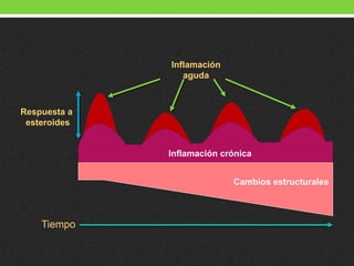 Tiempo
Inflamación
aguda
Respuesta a
esteroides
Inflamación crónica
Cambios estructurales
 