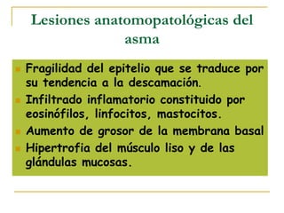 Lesiones anatomopatológicas del
asma
 Fragilidad del epitelio que se traduce por
su tendencia a la descamación.
 Infiltrado inflamatorio constituido por
eosinófilos, linfocitos, mastocitos.
 Aumento de grosor de la membrana basal
 Hipertrofia del músculo liso y de las
glándulas mucosas.
 