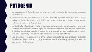 PATOGENIA
• La obstrucción al flujo de aire en el asma es el resultado de numerosos procesos
patológicos.
• En las vías respiratorias pequeñas el flujo de aire está regulado por el músculo liso que
rodea las luces; la broncoconstricción de estas bandas musculares bronquiolares
restringe o bloquea el flujo de aire.
• Un infiltrado inflamatorio celular y exudado caracterizado por eosinófilos, pero que
también incluye otros muchos tipos de células inflamatórias (neutrófilos, monócitos,
linfócitos, mastócitos, basófilos), puede llenar y obstruir las vías respiratorias, e inducir
una lesión epitelial y su descamación a la luz de las vías respiratorias.
• Los linfocitos T cooperadores y otras células inmunitarias que producen citocinas
(interleucina [IL] 4, IL-5, IL-13) y quimiocinas proinflamatorias y proalérgicas median
este proceso inflamatorio.
 