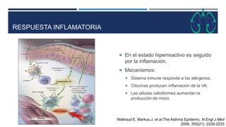 RESPUESTA INFLAMATORIA
 En el estado hiperreactivo es seguido
por la inflamación.
 Mecanismos:
 Sistema inmune responde...