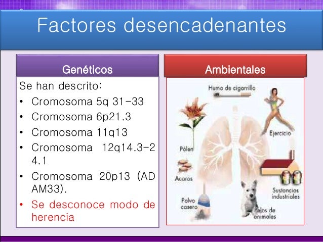 Fisiopatologia del asma bronquial pdf converter