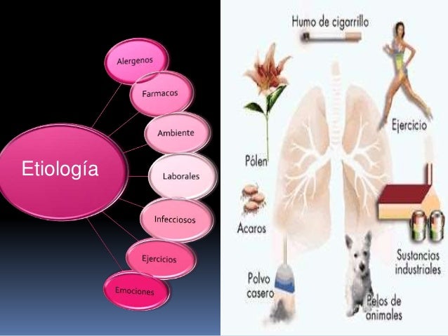 ETIOLOGIA DEL ASMA BRONQUIAL DOWNLOAD ETIOLOGIA DEL ASMA BRONQUIAL DOWNLOAD