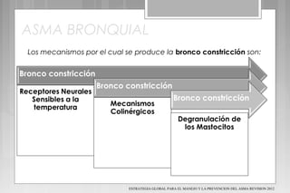 ASMA BRONQUIAL
Los mecanismos por el cual se produce la bronco constricción son:
ESTRATEGIA GLOBAL PARA EL MANEJO Y LA PREVENCION DEL ASMA REVISION 2012
 