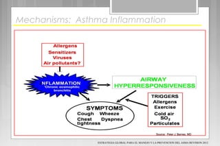 Source: Peter J. Barnes, MDSource: Peter J. Barnes, MD
Mechanisms: Asthma Inflammation
ESTRATEGIA GLOBAL PARA EL MANEJO Y LA PREVENCION DEL ASMA REVISION 2012
 