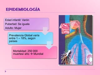 Edad infantil: Varón
Pubertad: Se iguala
Adulto: Mujer
Prevalencia Global varía
entre 1 – 18%, según
países

Mortalidad: 250 000
muertes/ año  Mundial

 