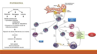 PATOGENIA
 