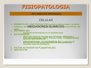 FISIOPATOLOGIAFISIOPATOLOGIA
• INFLAMACION BRONQUIAL
CELULAS
1. EOSINOFILOS Y SUS PRODUCTOS (proteína básica mayor, proteína
catiónica, peroxidasa y neurotoxina) es una de las características del
asma
• Aumento de formación en la medula ósea
• Atracción hacia la mucosa por citocinas, adhesinas y
factores quimiotacticos
• Activación in situ para liberación de sus productos
2. MASTOCITOS
MEDIADORES QUIMICOS
1. HISTAMINA (BC)
2. EICOSANOIDES
• CICLOOXIGENASA: PGE2, PGF2a, PGD2, TROMBOXANOS
• LIPOOXIGENASA: LEUCOTRIENOS (BC) sustancia de
reacción lenta de anafilaxia
3. FACTOR ACTIVADOR DE PLAQUETAS (BC)
 