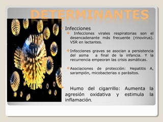  Infecciones
 Infecciones virales respiratorias son el
desencadenante más frecuente (rinovirus).
VSR en lactantes.
Infecciones graves se asocian a persistencia
del asma a final de la infancia. Y la
recurrencia empeoran las crisis asmáticas.
Asociaciones de protección: Hepatitis A,
sarampión, micobacterias o parásitos.
 Humo del cigarrillo: Aumenta la
agresión oxidativa y estimula la
inflamación.
 